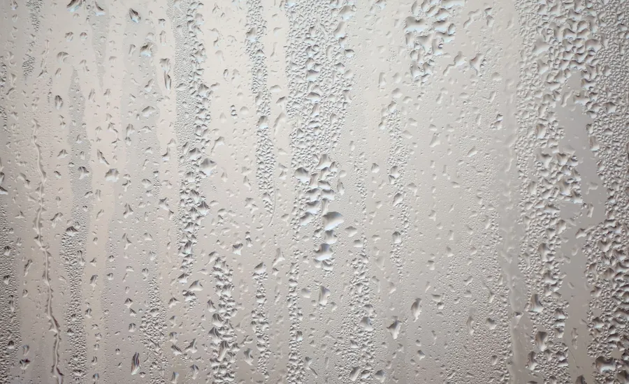 Heavy condensation covering the inside of a window pane, the kind of moisture build-up that leads to black mould
