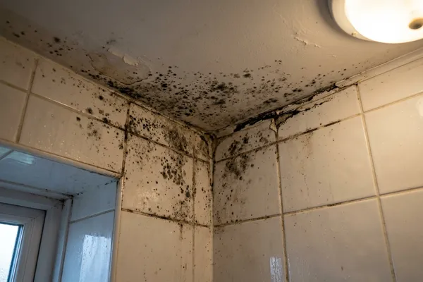 Black mould spotting in bathroom ceiling corner grout and tile edges