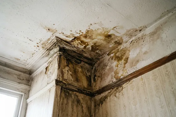 A brown-yellow water stain spreading across a ceiling and upper wall corner, consistent with a roof or flashing leak