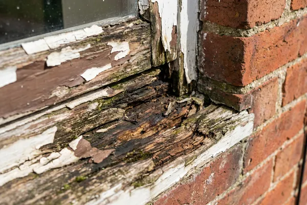 A decayed, swollen wooden window sill with peeling paint from prolonged water ingress