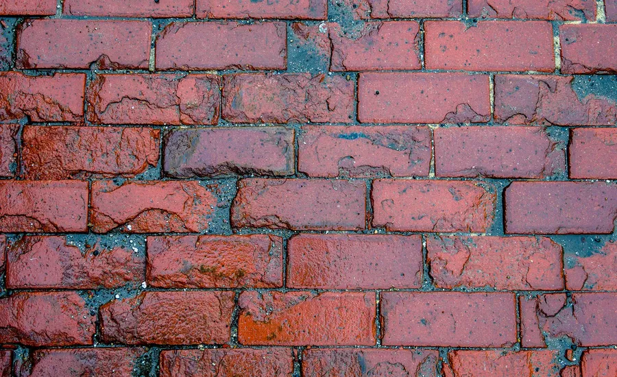Close-up of a wet, weathered brick exterior wall, showing the kind of water exposure that leads to penetrating damp
