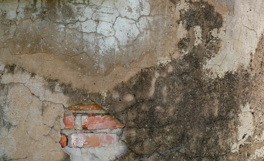Close-up of a weathered wall with peeling plaster and exposed brick, showing the kind of damage rising damp leaves behind